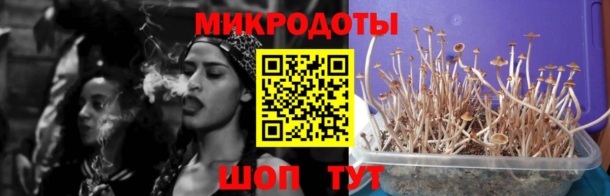 где купить наркоту  Галлюциногенные грибы GOLDEN TEACHER  Вход с VPN  Наро-Фоминск 